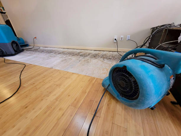 Professional Water Removal technician working in Belle Plaine, KS